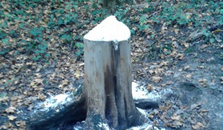 4. fotografia fotogalérie Chata a solisko