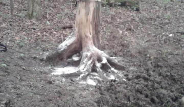 5. fotografia fotogalérie Chata a solisko