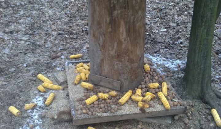 6. fotografia fotogalérie Chata a solisko