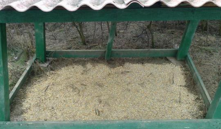 7. fotografia fotogalérie Chata a solisko