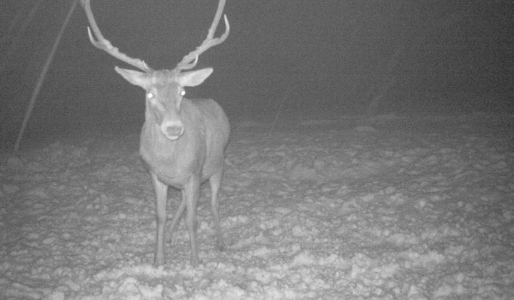 2. fotografia fotogalérie Fotografie z fotopascí