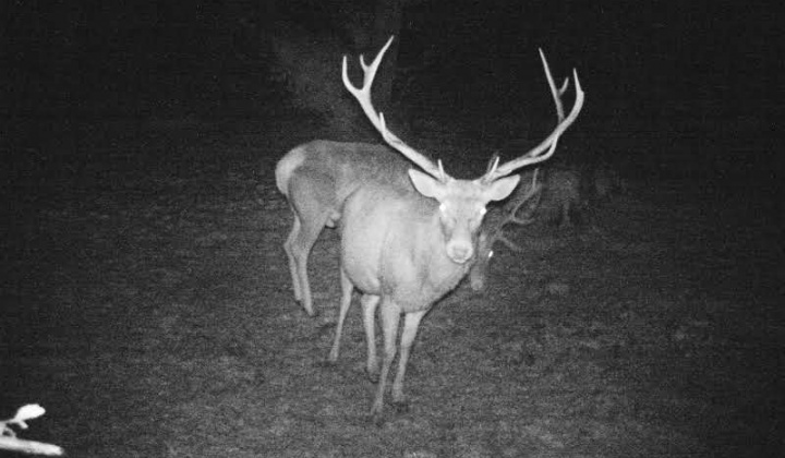 3. fotografia fotogalérie Fotografie z fotopascí