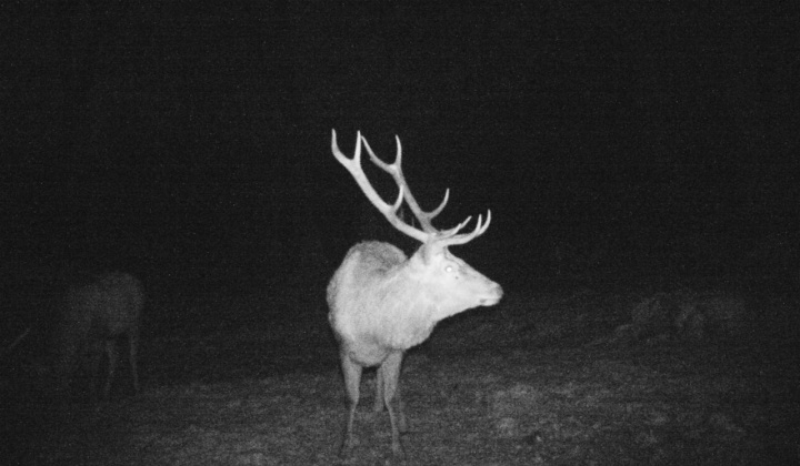 5. fotografia fotogalérie Fotografie z fotopascí