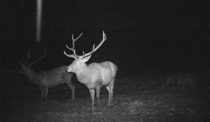 6. fotografia fotogalérie Fotografie z fotopascí