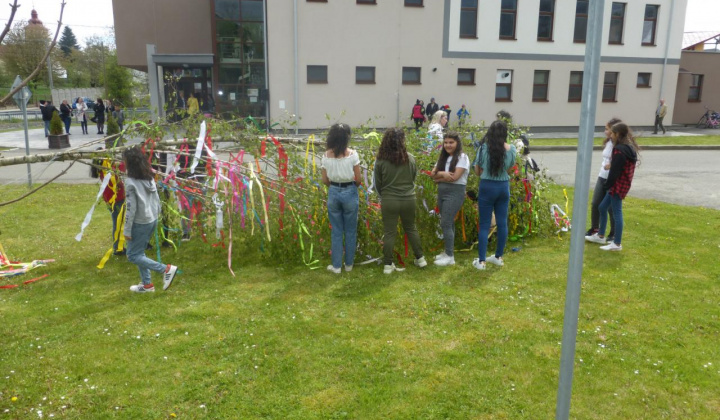 2. fotografia fotogalérie Stavanie mája