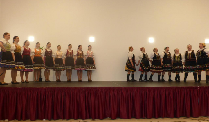 16. fotografia fotogalérie Stavanie mája