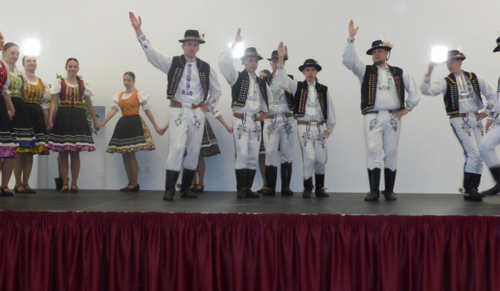 19. fotografia fotogalérie Stavanie mája