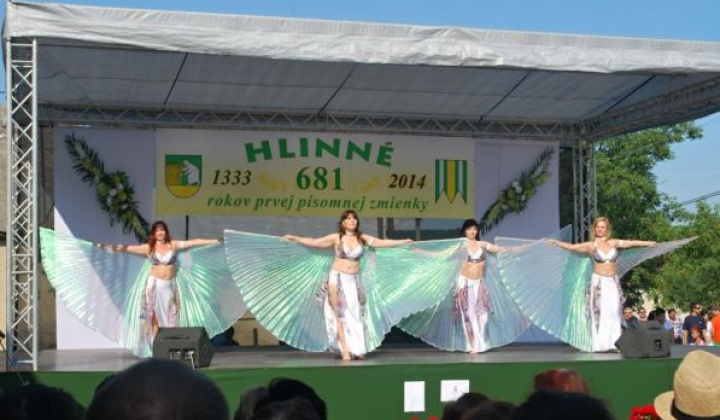 14. fotografia fotogalérie 2014