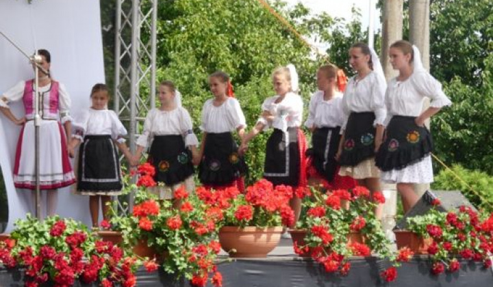 10. fotografia fotogalérie 2013