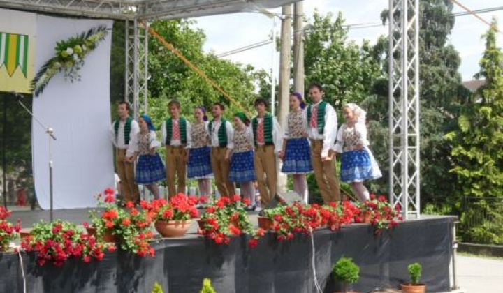 19. fotografia fotogalérie 2013