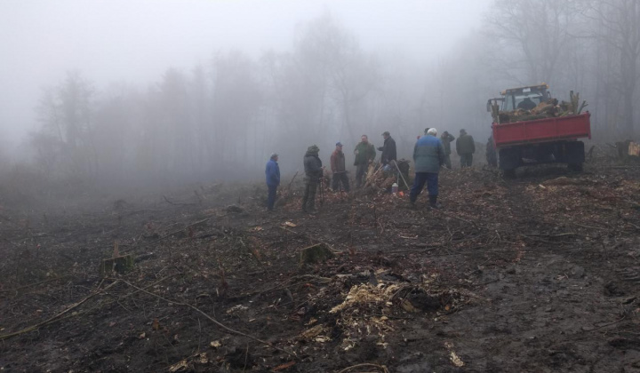 1. fotografia fotogalérie Výsadba nových stromčekov