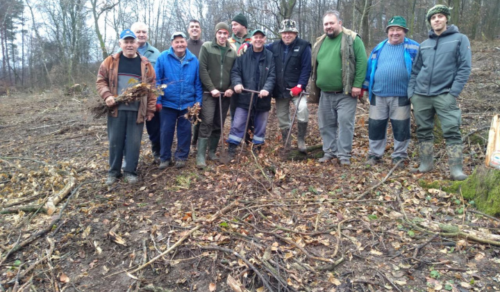 3. fotografia fotogalérie Výsadba nových stromčekov