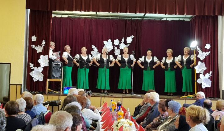 17. fotografia fotogalérie Rok 2017