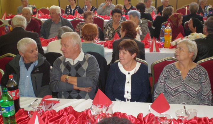 23. fotografia fotogalérie Rok 2017