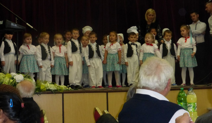 5. fotografia fotogalérie Rok 2016