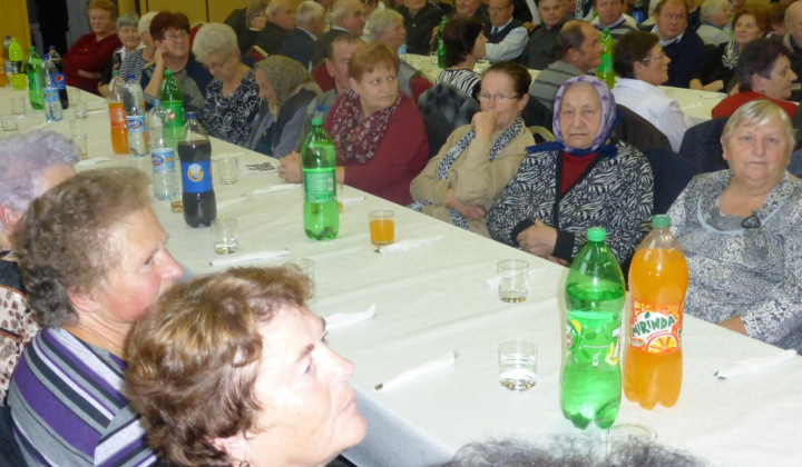 13. fotografia fotogalérie Rok 2016