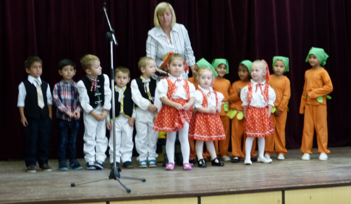 2. fotografia fotogalérie Rok 2015