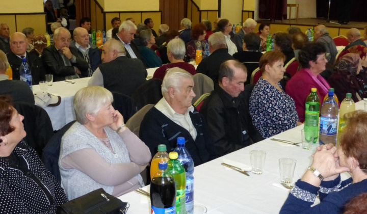 10. fotografia fotogalérie Rok 2015