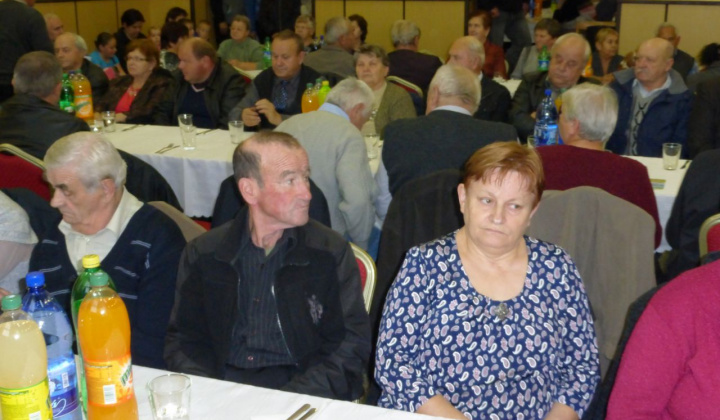 11. fotografia fotogalérie Rok 2015