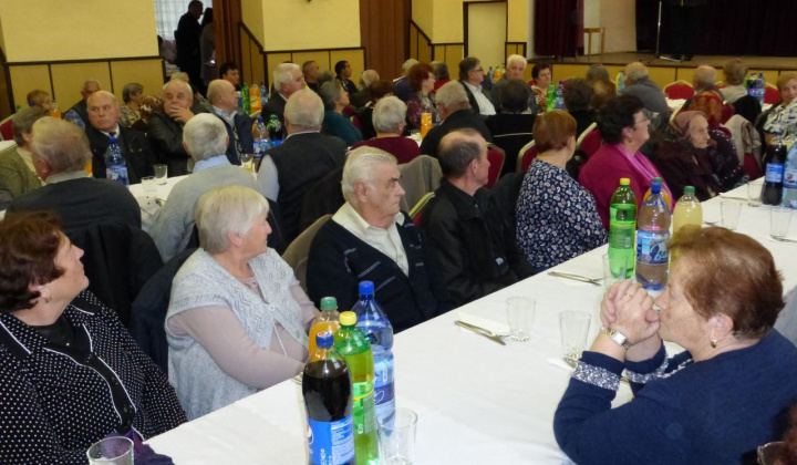 13. fotografia fotogalérie Rok 2015