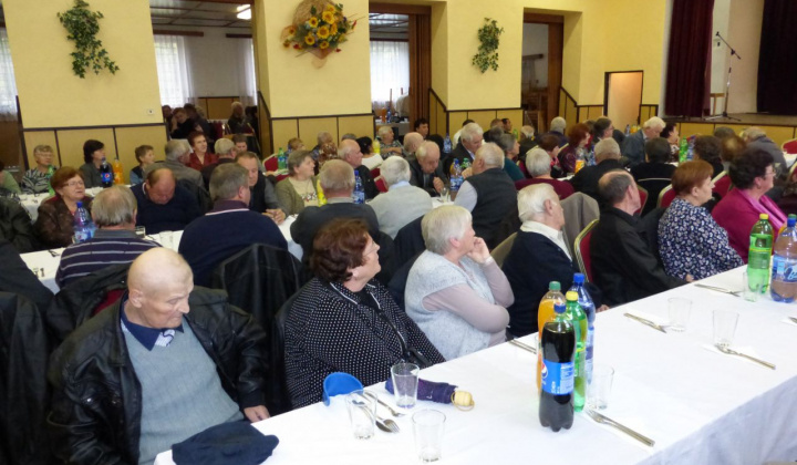 16. fotografia fotogalérie Rok 2015