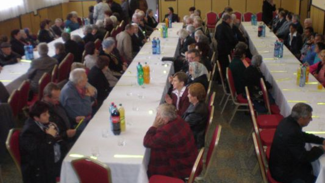 Fotografia fotogalérie Rok 2014