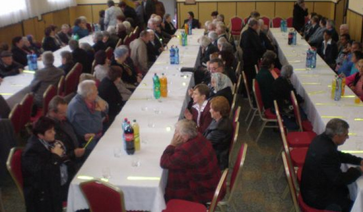 1. fotografia fotogalérie Rok 2014