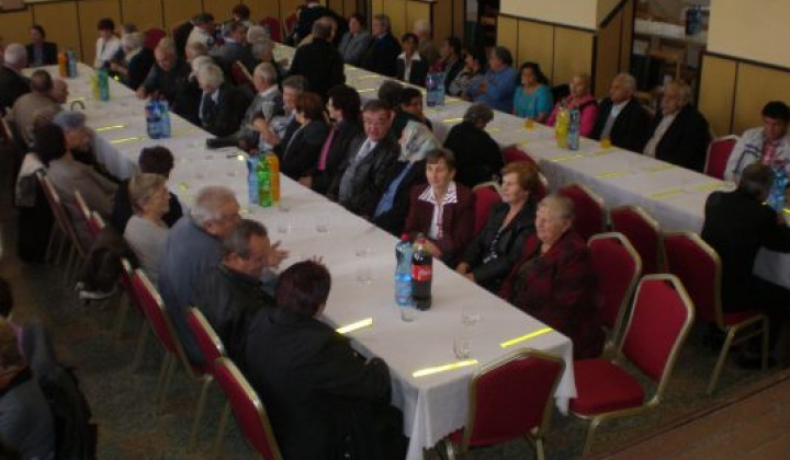 2. fotografia fotogalérie Rok 2014