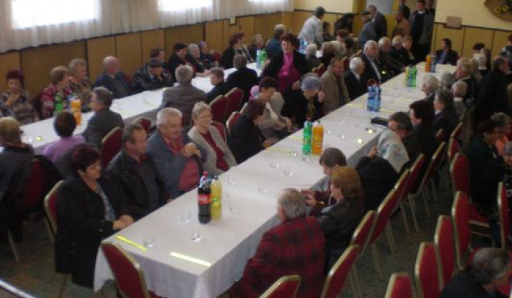 3. fotografia fotogalérie Rok 2014