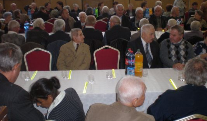 5. fotografia fotogalérie Rok 2014