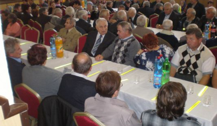 6. fotografia fotogalérie Rok 2014