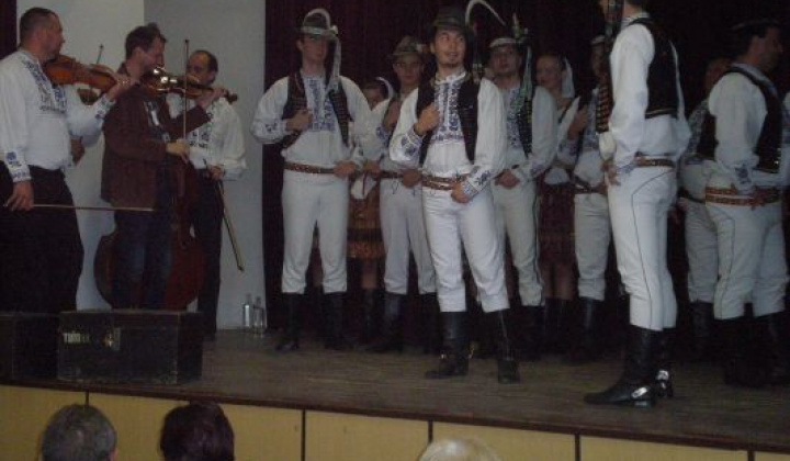 11. fotografia fotogalérie Rok 2014