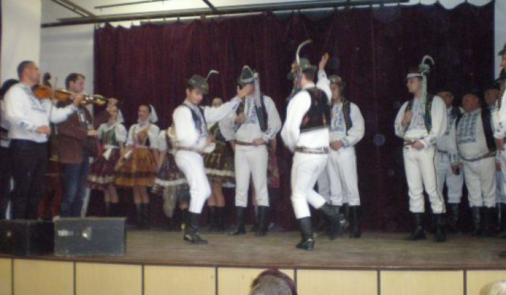 12. fotografia fotogalérie Rok 2014