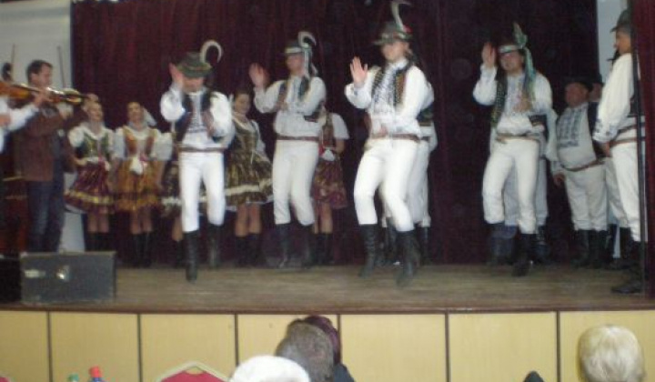 13. fotografia fotogalérie Rok 2014