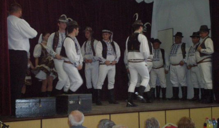 14. fotografia fotogalérie Rok 2014