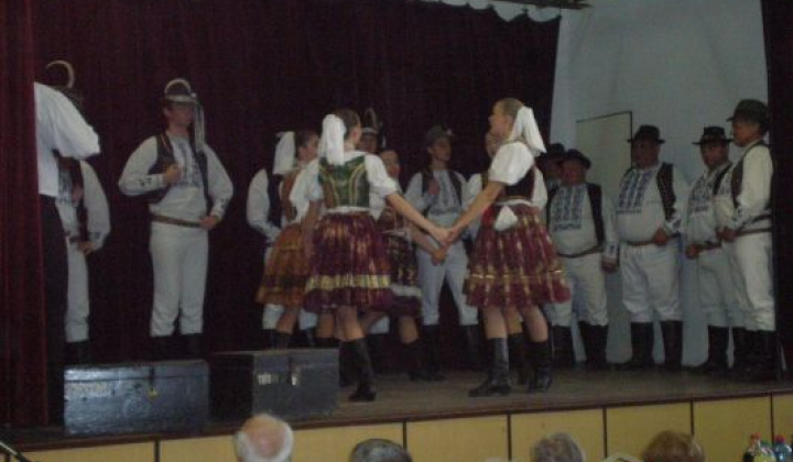 15. fotografia fotogalérie Rok 2014