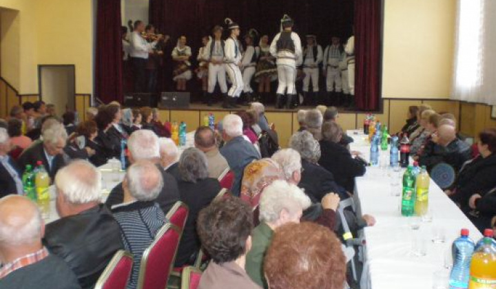 17. fotografia fotogalérie Rok 2014