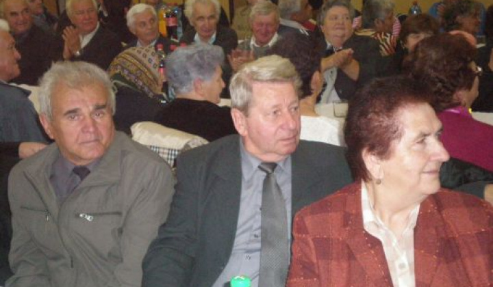 24. fotografia fotogalérie Rok 2014