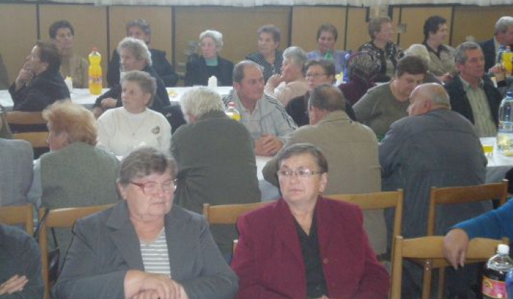 7. fotografia fotogalérie Rok 2012