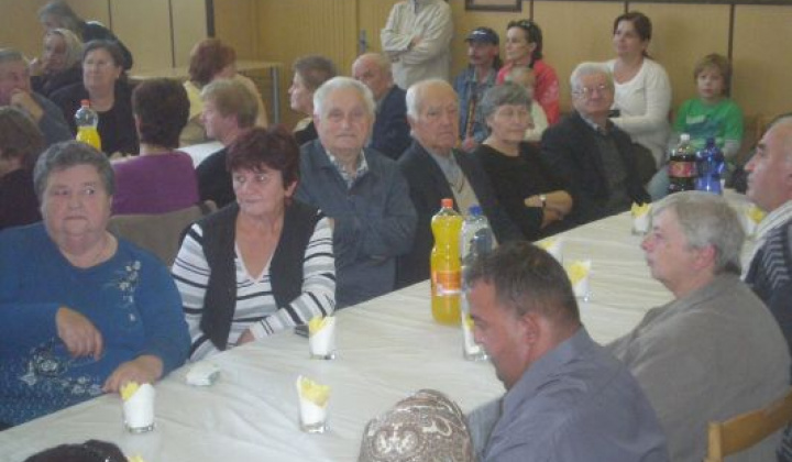 8. fotografia fotogalérie Rok 2012