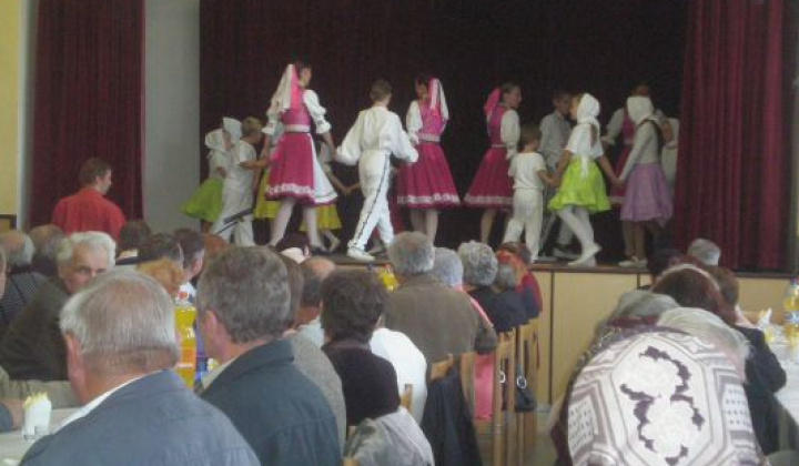 12. fotografia fotogalérie Rok 2012