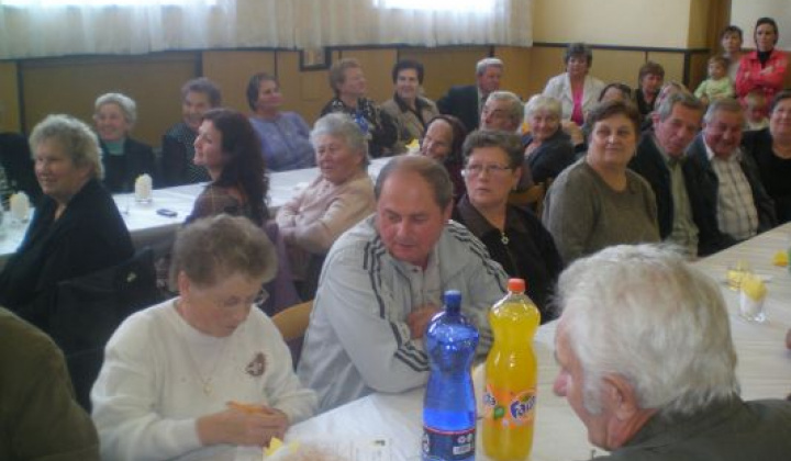 14. fotografia fotogalérie Rok 2012