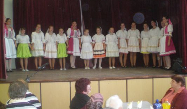 16. fotografia fotogalérie Rok 2012