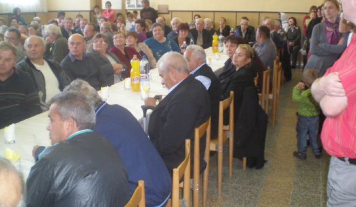 19. fotografia fotogalérie Rok 2012