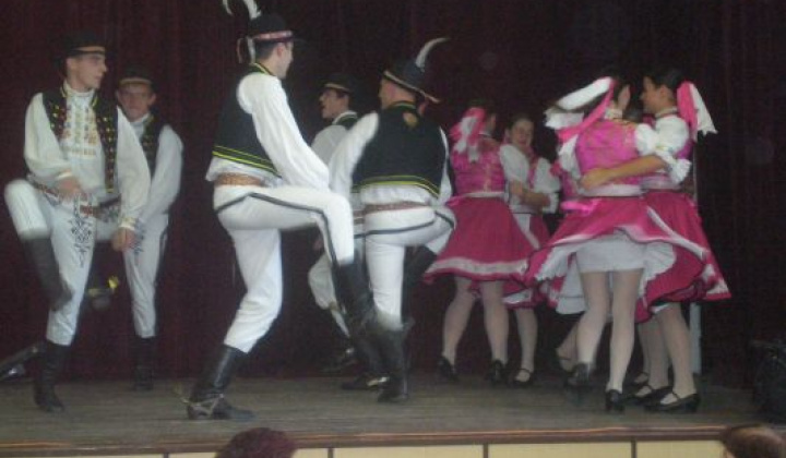 21. fotografia fotogalérie Rok 2012