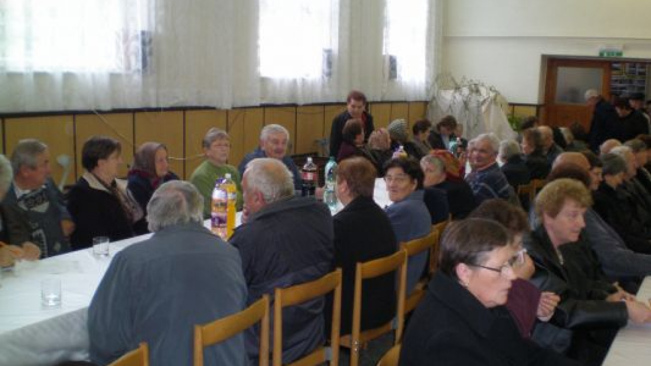 Fotografia fotogalérie Rok 2011