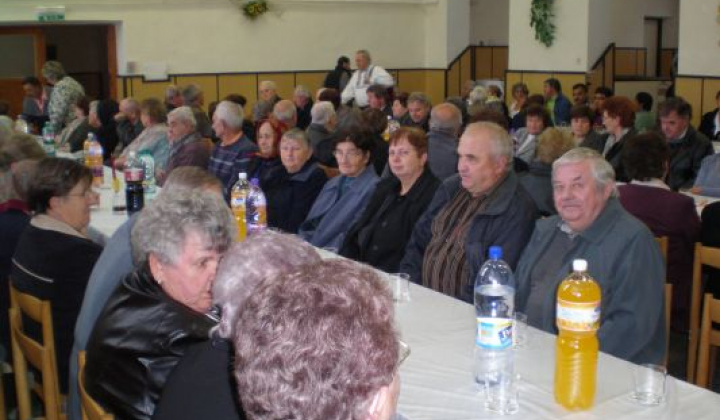 3. fotografia fotogalérie Rok 2011