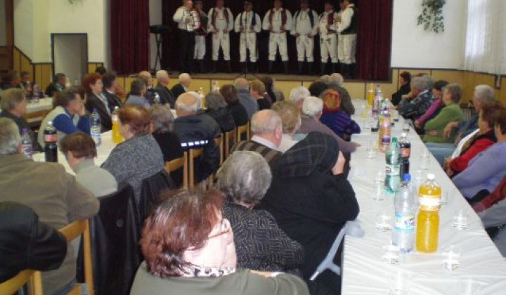 6. fotografia fotogalérie Rok 2011