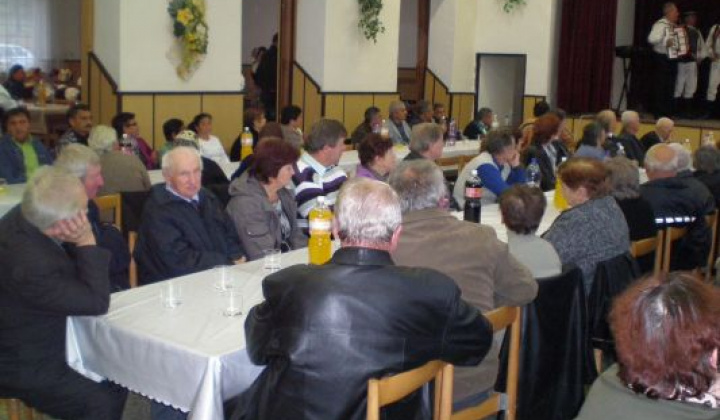 7. fotografia fotogalérie Rok 2011