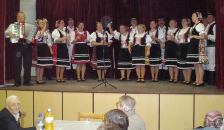 9. fotografia fotogalérie Rok 2011